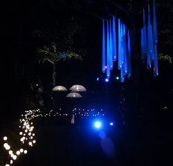 Event Management